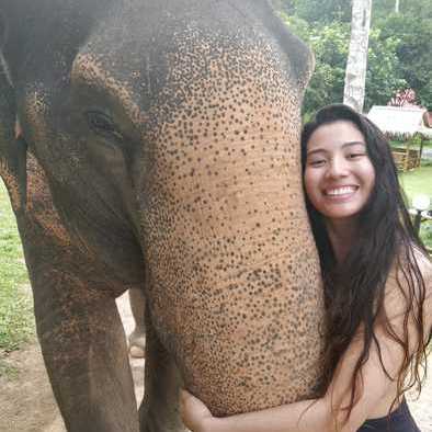 I am a student who loves animals and would love to house sit for you! :)