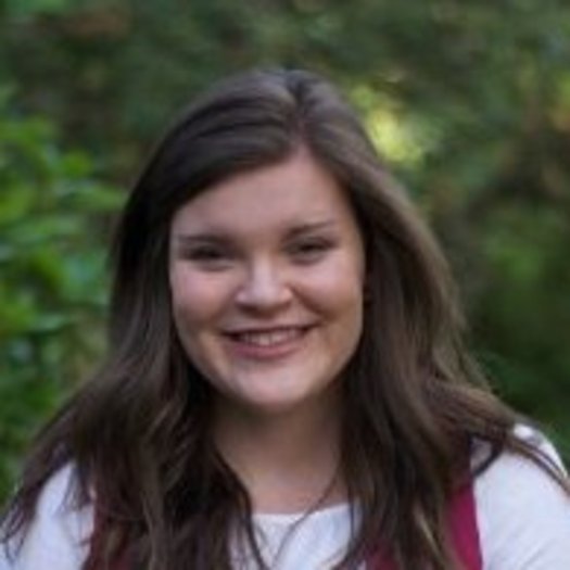Responsible House Sitter Availablef