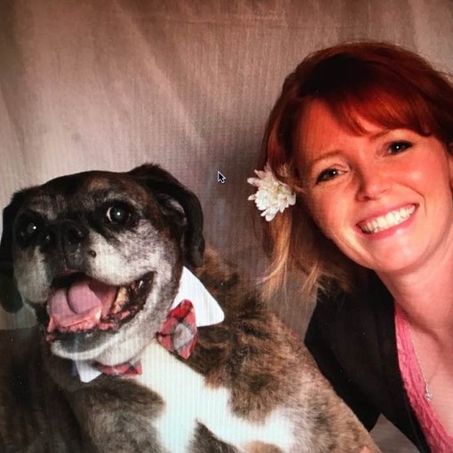 For Hire: Qualified House and Pet Sitter in Austin, Texas