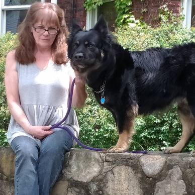 Well Trained House Sitting Provider for Your Home