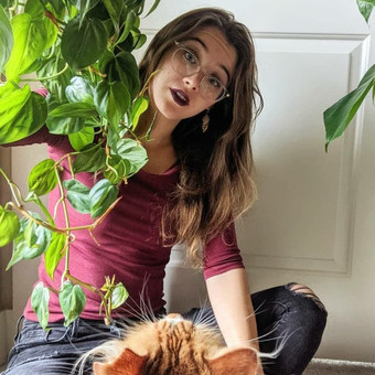 Looking For a Housesitter Job near Littleton, Colorado