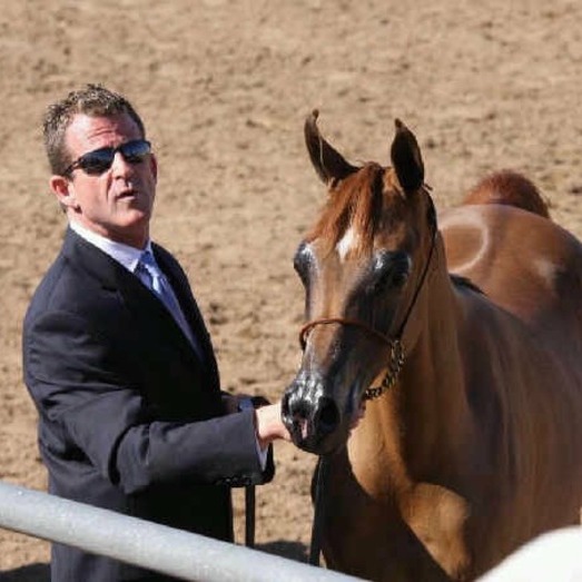 Originized, Dependable Animal Lover with a Green Thumb ! 30 yrs Equine Experience