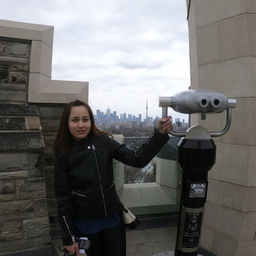 House Sitter Offered in Mississauga