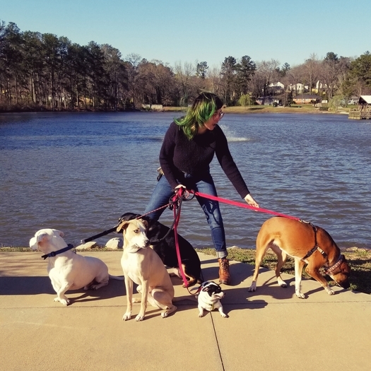 Experienced pet handler and house sitter, looking to spend time in my old stomping grounds
