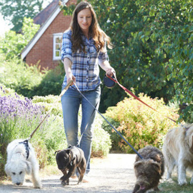 Responsible, retired school teacher who is a dependable caretaker and loving to your pets.