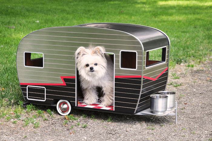 Pet sitting & boarding