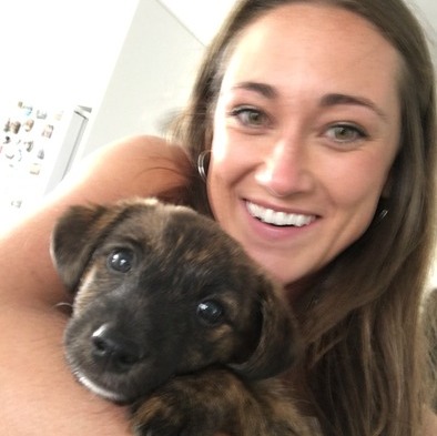 Washington DC House Sitter or Pet Caretaker