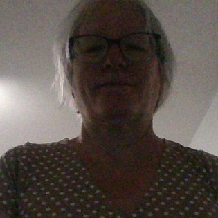 Hardworking House Sitting Provider in Kitchener