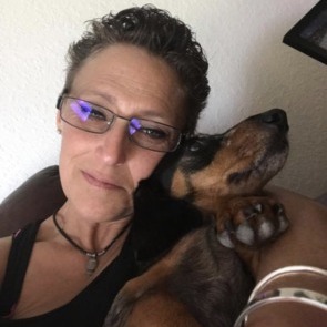 Pet Feeding Offered in Pinellas Park