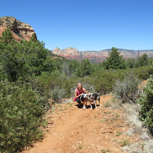 Qualified House/pet sitter/walker Available Immediately