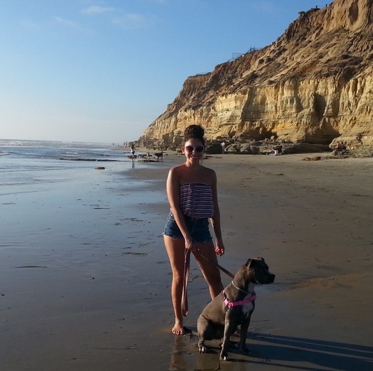 Reliable and Trustworthy House/Pet Sitter