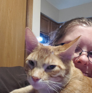 For Hire: Present Pet Sitter in Blue Springs