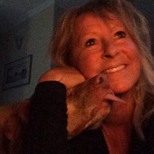 Leave your worries behind with this highly experienced animal, house sitter.