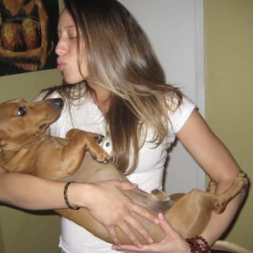 Miami California House and Pet Sitter!