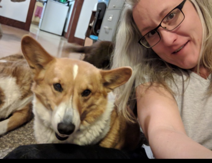 House Sitter/Pet Sitter for Hire
