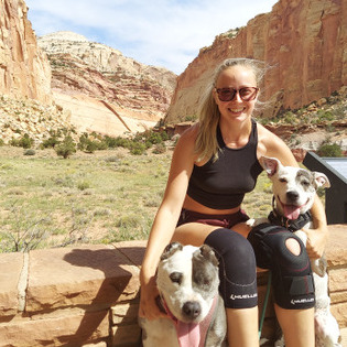 Well Trained House Sitter for Hire