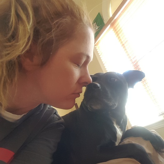 Pet Care Leominster Area