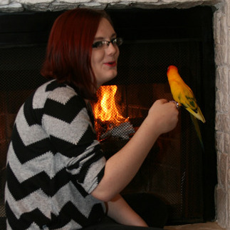 Gallery Photo