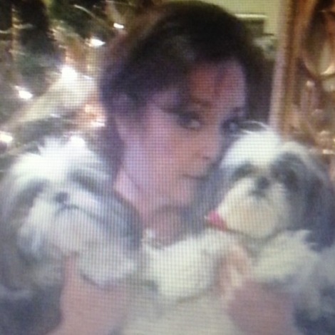 Peachtree City Dog Walker Interviewing For Work