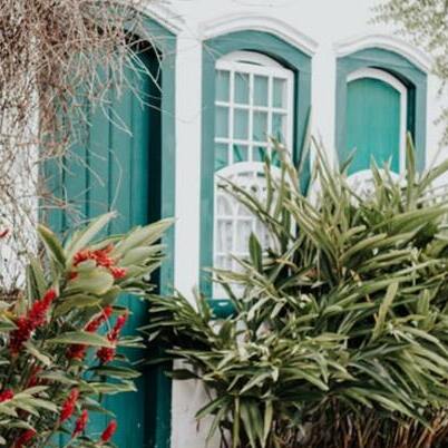 Tender Pet and House Sitting from Experienced Provider