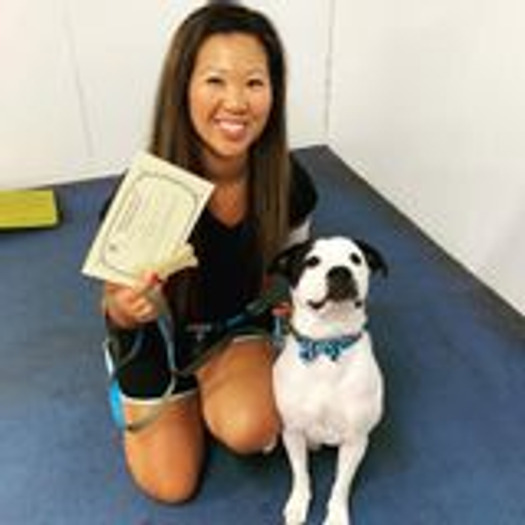 I am a responsible, self-employed, 45 yr old adult. I own pets and a house, so I know the importance of taking care of both.