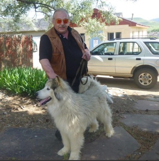First Class, Full Time Alpha Pet Sitter in your precious Home