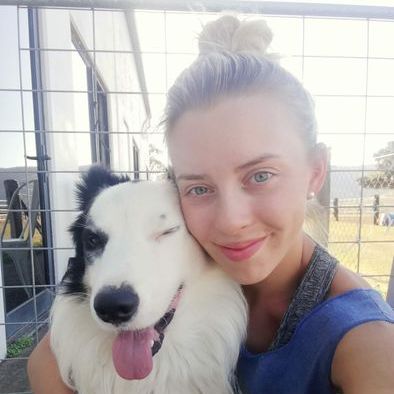 Oakville Caretaker Seeking Work in Ontario