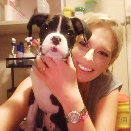 Hardworking Housesitter Available Immediately