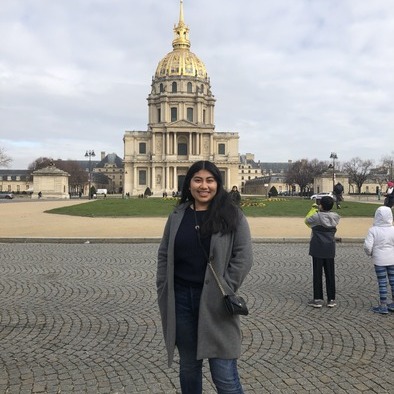 Present House Sitter for Hire