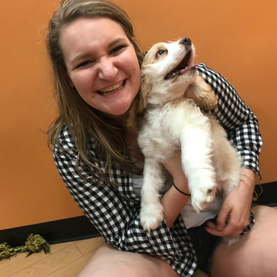Honest House and Petsitter Available Immediately