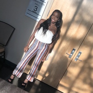 Olive Branch Home Sitter Seeking Work