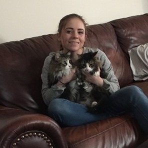 Available For West Virginia Home Sitter Opportunity