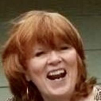Wonderful Housesitter for Hire