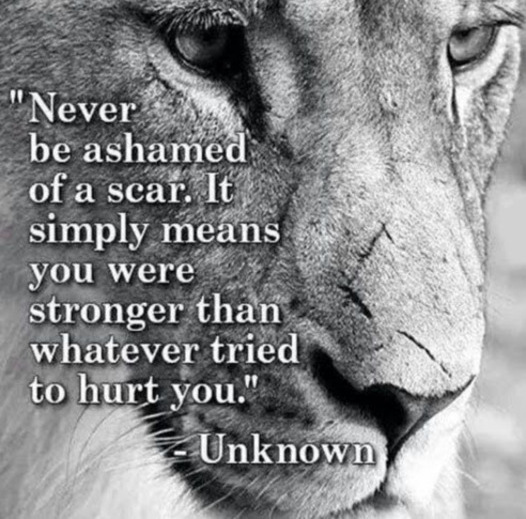 A sense of accomplishment and purpose.