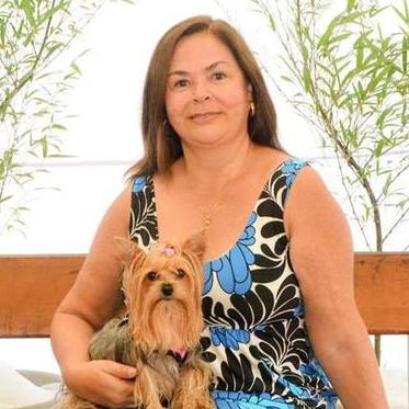 Excellent and responcible House/pet Sitter Available