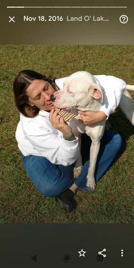 For Hire: Flexible Home Sitter in Brandon, Florida