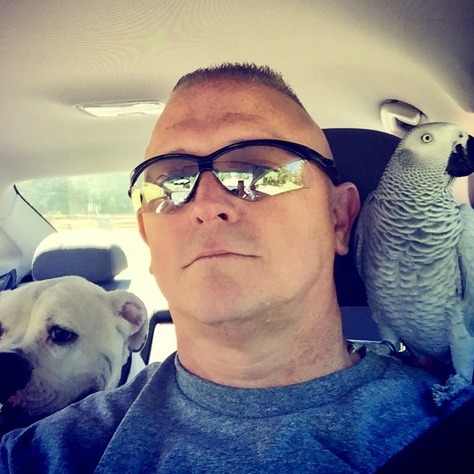 Available: Wonderful House Sitter in Stow