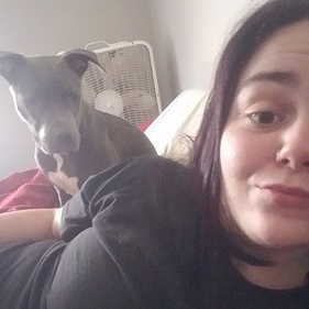 Springfield House Sitter Interviewing For Work in Missouri
