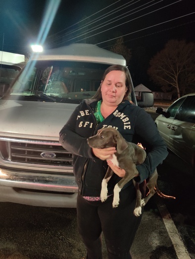 House sitter and Plant Sitter Searching for Being Hired in the North Carolina area. Experience animal handler of all sizes
