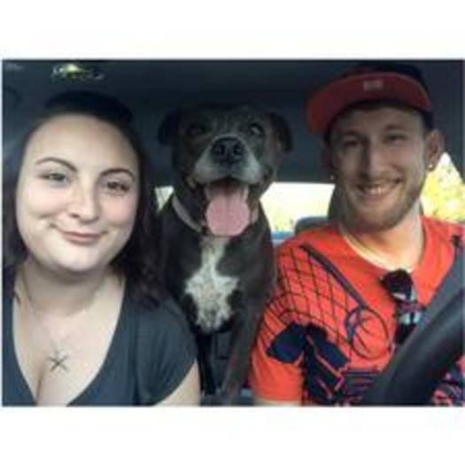Manage Air bnb guests and care for my pooch