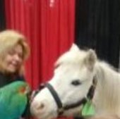 Capable House and Pet Sitter in Edmonton