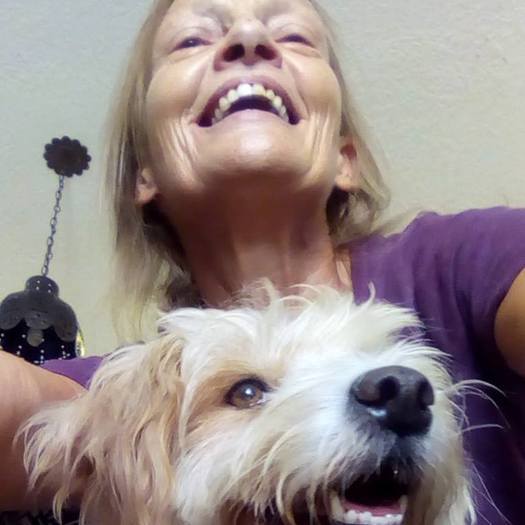 Capable House and Pet-sitter available immediately in the Taos, NM area
