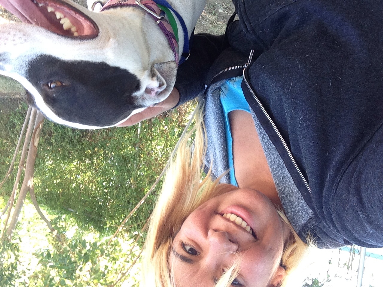 Reliable house sitter