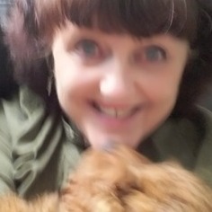 Live in Reliable Housesitting While You Are Away