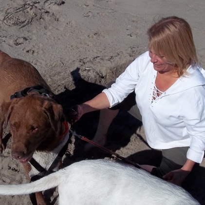 For Hire: Great House Sitting Provider in Boulder Creek