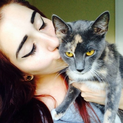 Pet sitter/ house sitter/ last minute availability