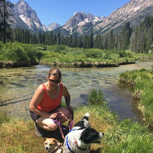 Professional with 2 senior dogs would love to take care of your home and/or pets while you're away!
