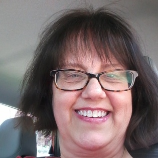 I am experienced in taking care of your home , I currently work in a home environment now by picking up mail, and pet care.