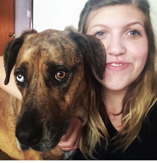 Excellent house sitter