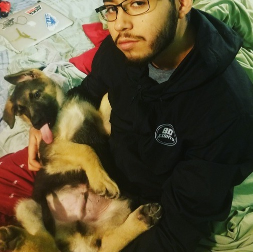 Interviewing For Dallas House Sitter Opportunity